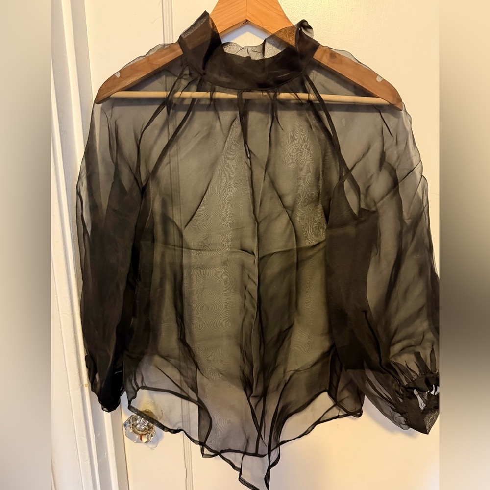 Banana Republic Black Sheer Blouse